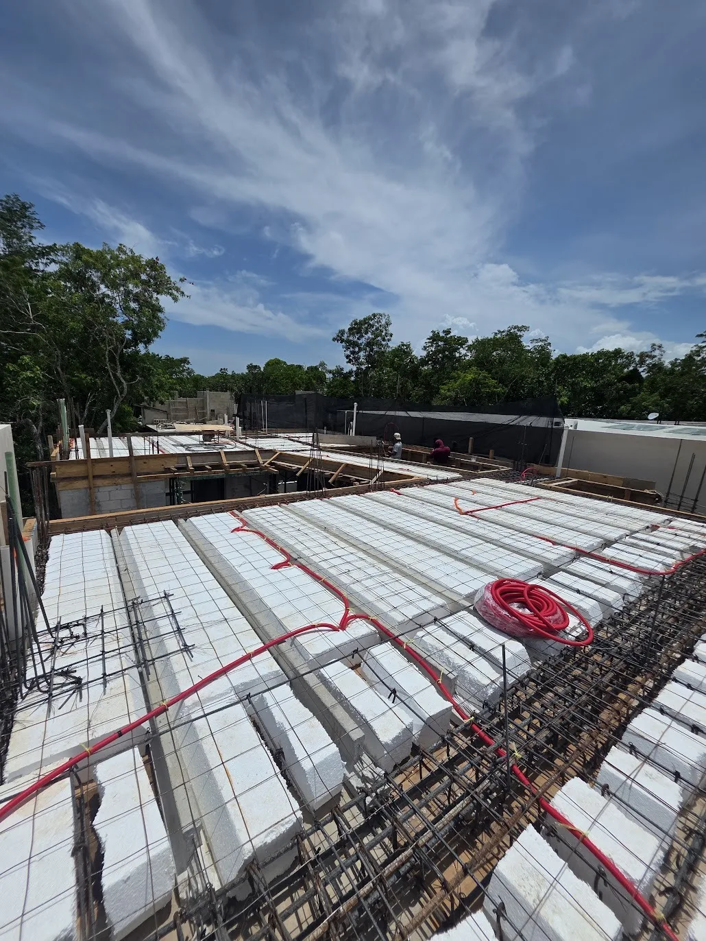 Lirio 138 — avance de obra agosto 2026